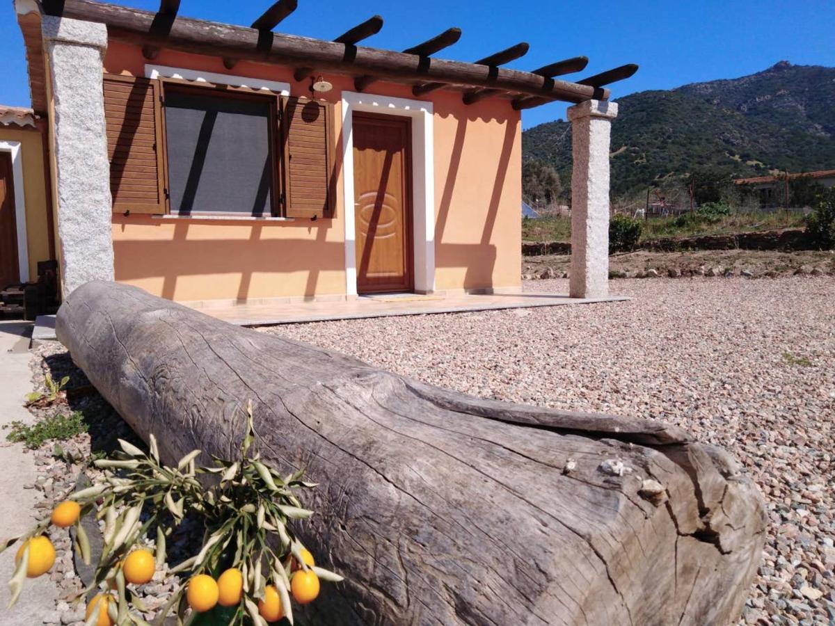 Agriturismo Donnolu Tertenìa Екстериор снимка